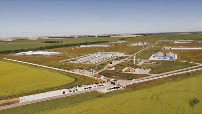 ООО «Воловский бройлер»