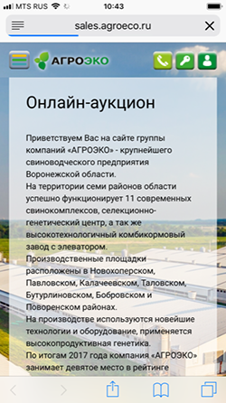 Первый экран сайта-аукциона на мобильных устройствах