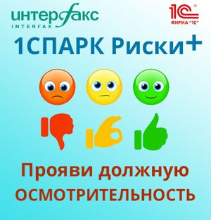 1СПАРК Риски