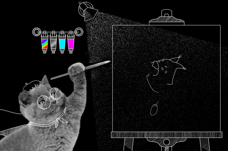 котик-художник.gif