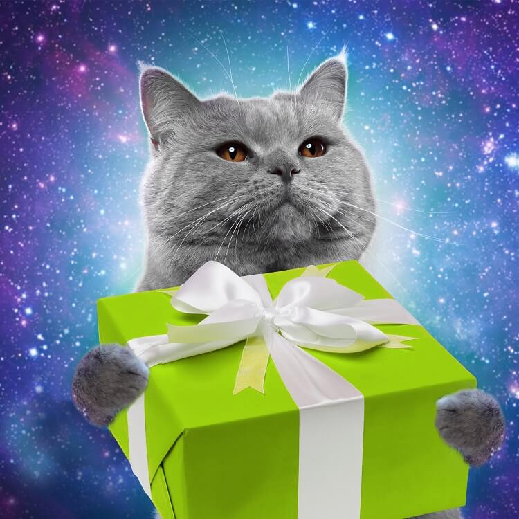 аудит получают....jpg