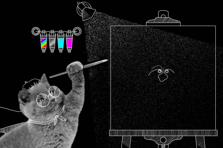 котик-художник 2.gif