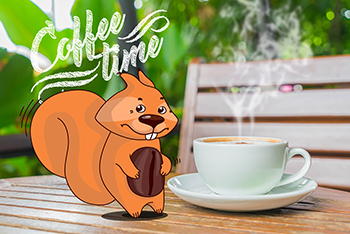 Белка Ватуня 1